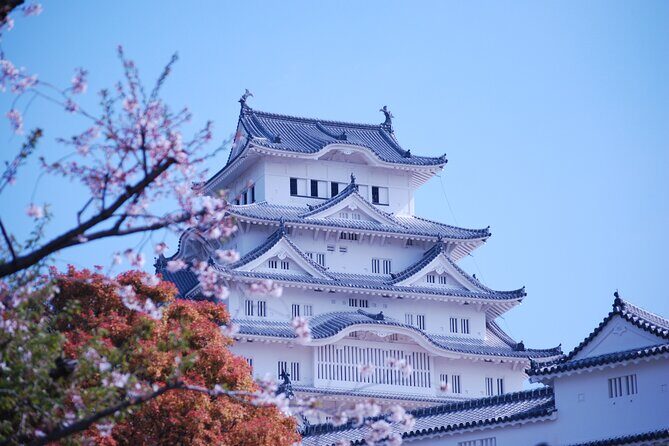 Explore Himeji Castle a Guided Walking Tour - Why Choose This Tour?