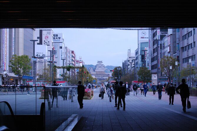 Explore Himeji Castle a Guided Walking Tour - The Sum Up