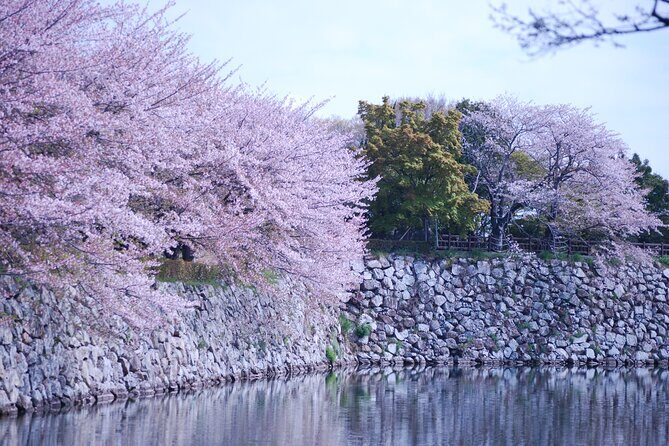 Explore Himeji Castle a Guided Walking Tour - Frequently Asked Questions