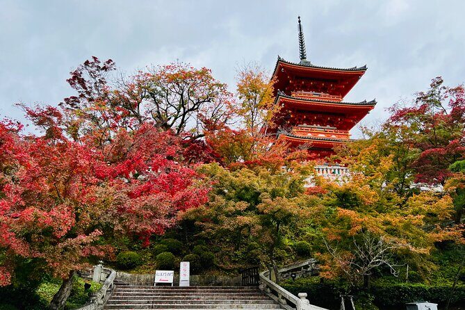 Explore History and Culture in Kyoto - Final Thoughts