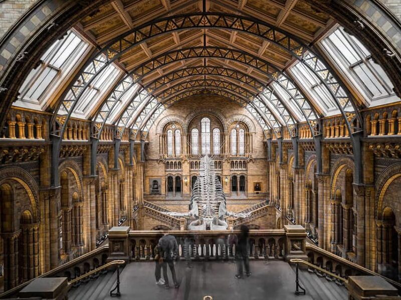 Explore History: British Museum's Rosetta, Mummies & More - Final Thoughts