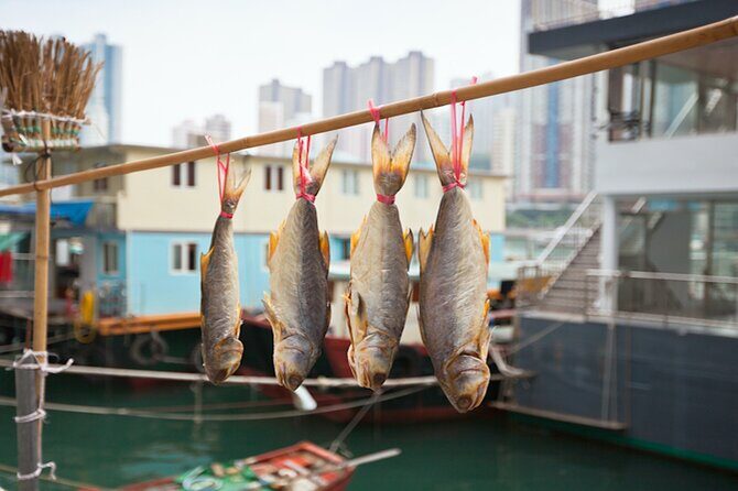 Explore Hong Kong: Aberdeen + Public Housing Estate Group Tour - Final Thoughts