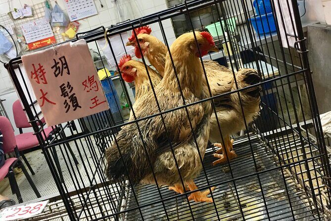 Explore Hong Kong: Sham Shui Po - Every Bit Local! - The Sum Up