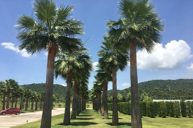 Explore Hua Hin and Surroundings with Private Guide for half day - Final Thoughts