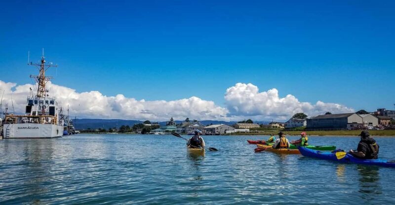 Explore Humboldt Bay by Kayak - A Detailed Look at the Humboldt Bay Kayak Tour