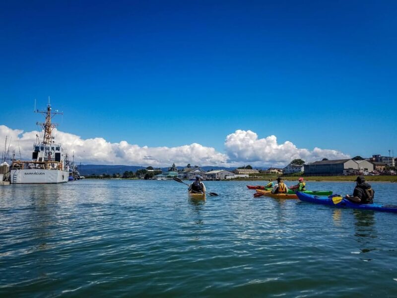 Explore Humboldt Bay by Kayak - FAQs