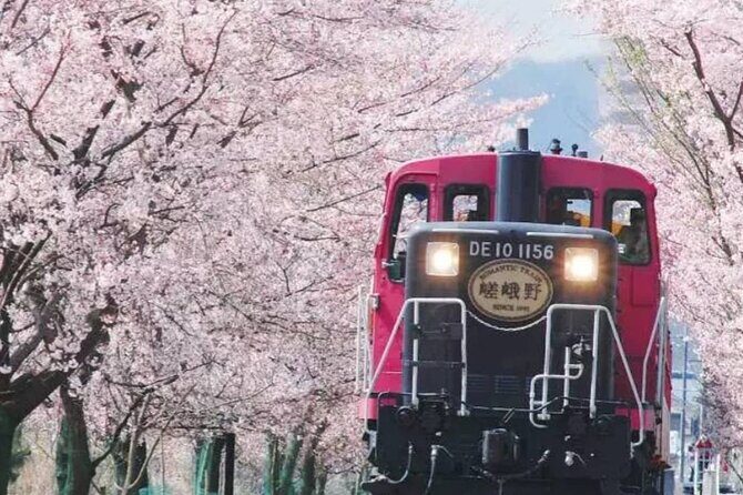 Explore Japan in 7 Days Cherry Blossom Tour 2026 - Exploring Japan in 7 Days: Cherry Blossom Tour 2026 — A Practical Guide