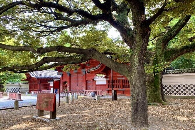 Explore Japans Oldest University by a Walking Tour - Key Points