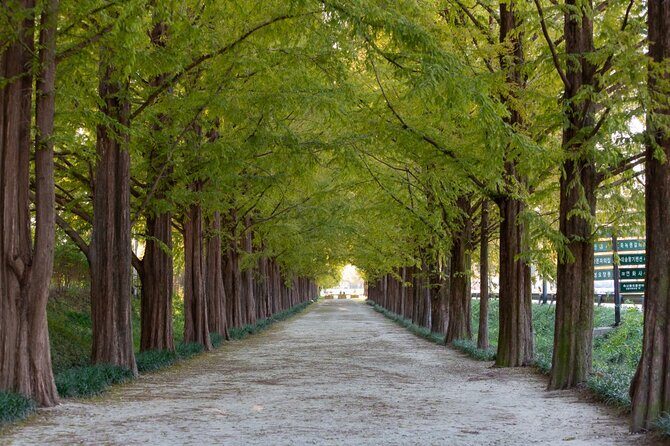 Explore Jeonju/Yeosu/Suncheon with Private Day Tour from Gwangju - FAQ