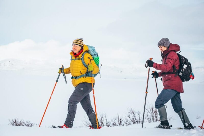 Explore Jotunheimen - 2 Days with Snowshoeing and Snowcoach - Who Will Enjoy This Tour?