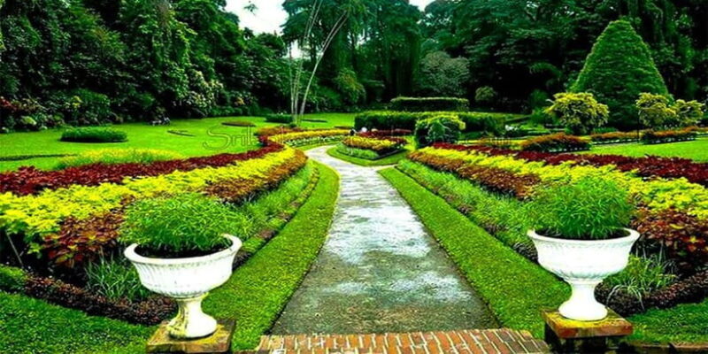 Explore Kandy & Nuwara Eliya in 2 days - Key Points