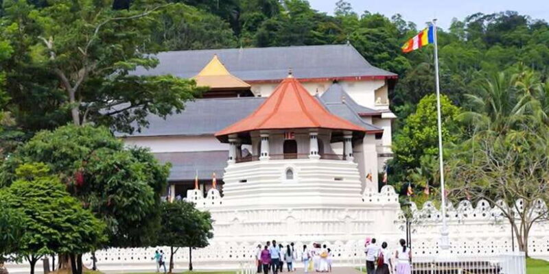 Explore Kandy, Pinnawala, and Tea Plantation from Kandy - Explore Kandy, Pinnawala, and Tea Plantation from Kandy