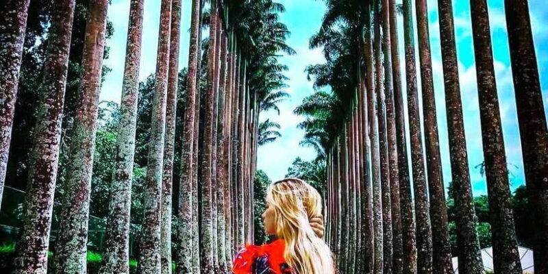 Explore Kandy, Pinnawala, and Tea Plantation from Kandy - Key Points