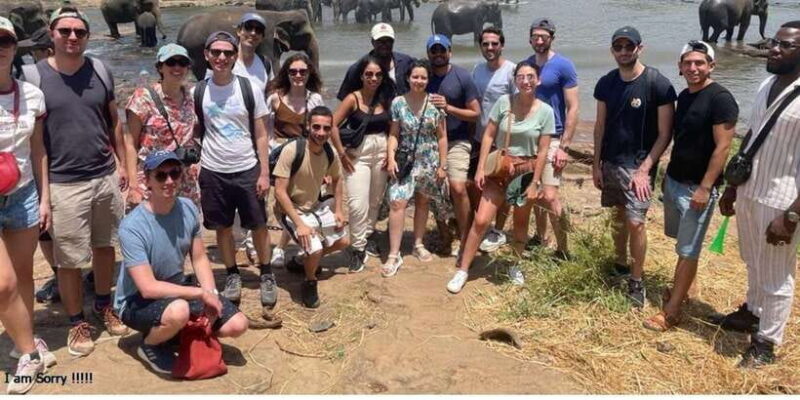 Explore Kandy, Pinnawala, and Tea Plantation from Kandy - Who Will Love This Tour?