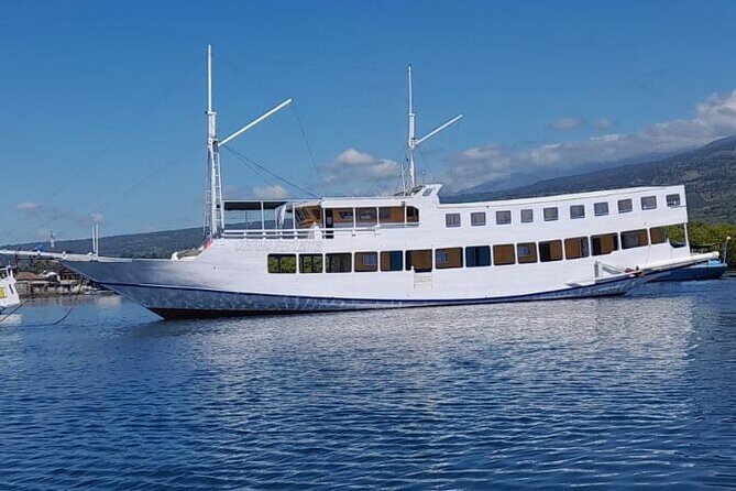 Explore Komodo and Swim with Whale Sharks - Key Points