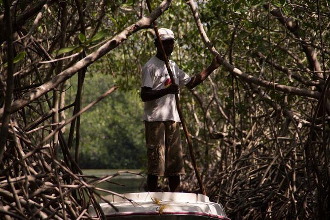 Explore La Boquillas Mangrove Tunnels with Local Fishermen - A Deep Dive into the La Boquilla Mangrove Tour