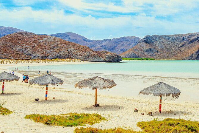 Explore La Paz: City Tour, Balandra Bay and Todos Santos - What’s the Experience Like?