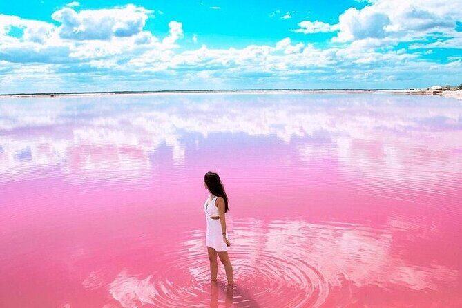 Explore Las Coloradas & Rio Lagartos, Full Day only from Tulum - Key Points