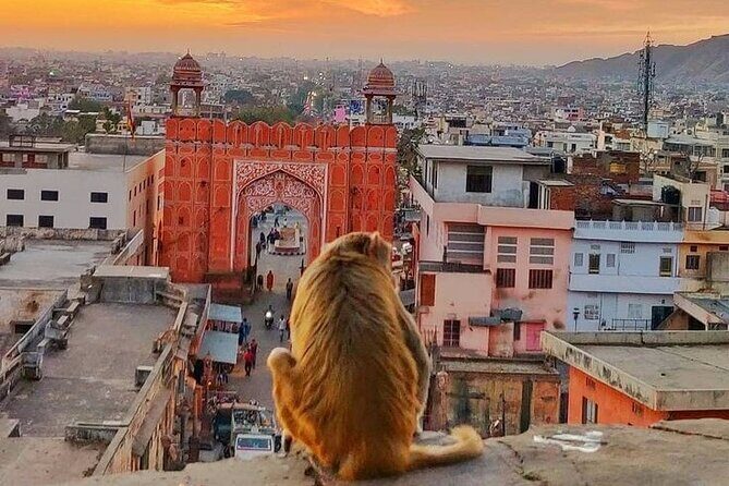 Explore Local Experience Jaipur Sightseeing Tour by Car + Guide - A Few Considerations