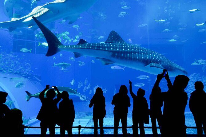 Explore Long Beach: Self-Guided Audio Tour - Practical Details and Travel Insights