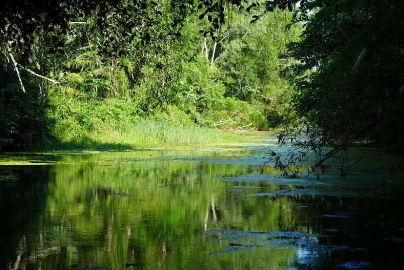 Explore Lung Ngoc Hoang in Hau Giang - Who Is This Tour Best For?