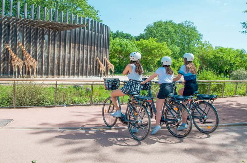 Explore Lyon and famous Tête d'Or Park by electric bike - A Deep Dive into the Lyon Electric Bike Tour