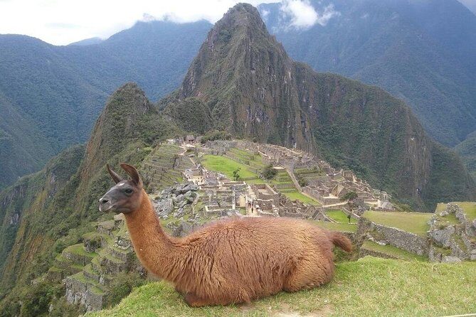 Explore Machu Picchu: Full Day Tour from Cusco - Final Thoughts: Is This Tour Right for You?