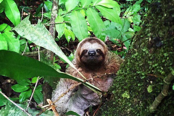 Explore Manuel Antonio National Park with Expert Guide - Key Points