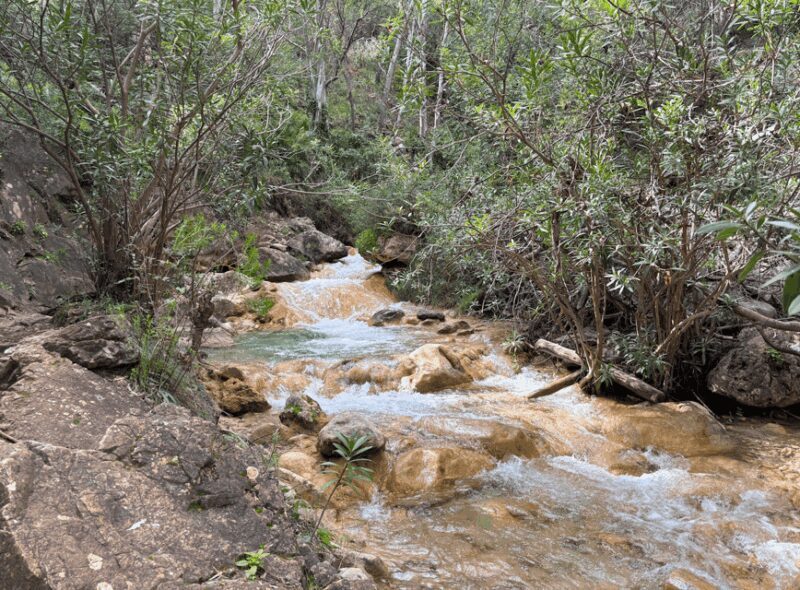 Explore Marbella's Nature: Guided Hiking And Foraging Trip - Key Points
