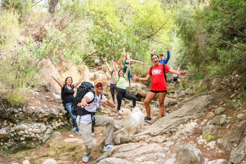 Explore Marbella's Nature: Guided Hiking And Foraging Trip - Authentic Experiences and Real Feedback