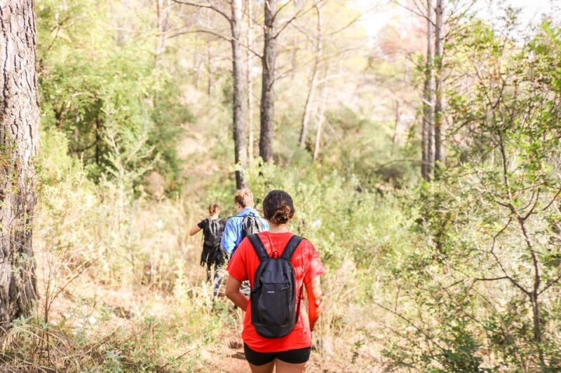 Explore Marbella's Nature: Guided Hiking And Foraging Trip - Who Should Consider This Tour?