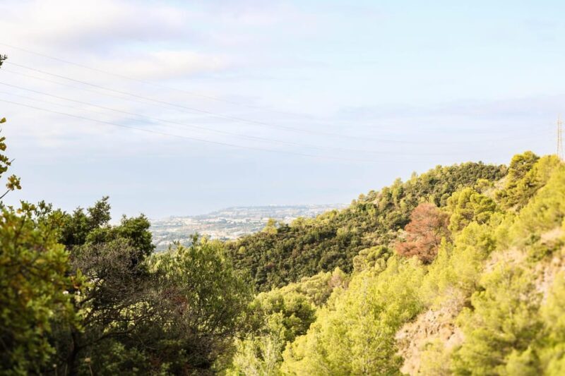 Explore Marbella's Nature: Guided Hiking And Foraging Trip - FAQ