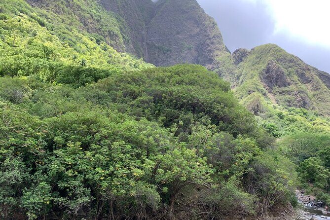 Explore Maui Private Tour - Practical Details and Considerations