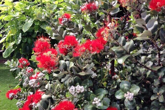 Explore Maui Private Tour - Who Will Love This Tour?