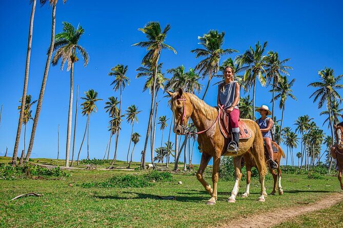 Explore Miches Horseback Riding 4x4 Beach Relaxation - Key Points