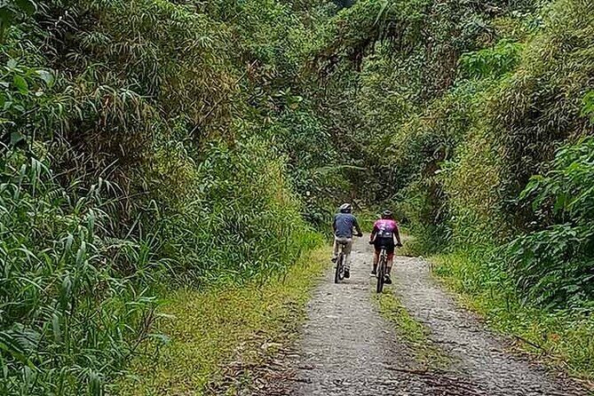 Explore Mindo Cloud Forest on a Full-Day Mountain Biking Tour - Exploring Mindo Cloud Forest on a Full-Day Mountain Biking Tour