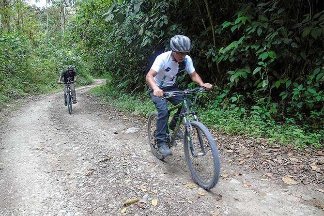 Explore Mindo Cloud Forest on a Full-Day Mountain Biking Tour - Key Points