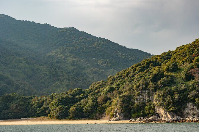 Explore Miyajima Sail from Miyahama Onsen - Exploring the Miyajima Sail in Detail