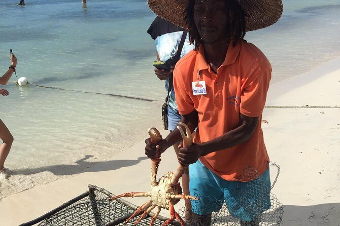 Explore Montego Bay Jamaica to Negril Beach & Ricks Cafe Sunset - A Closer Look at the Tour: What to Expect and Why It Matters