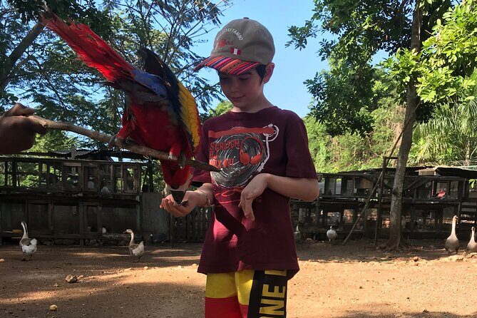 Explore Montego Bay to Exotic Birds and Herb Farm from MontegoBay - Price and Value Analysis