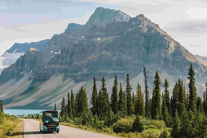 Explore Moraine and Louise Roundtrip from Banff Shared Bus Tour - FAQs