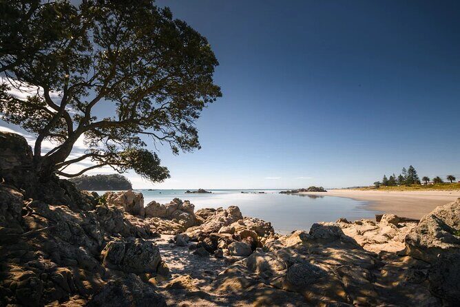 Explore Mount Maunganui: Self-Guided Audio Tour - FAQ