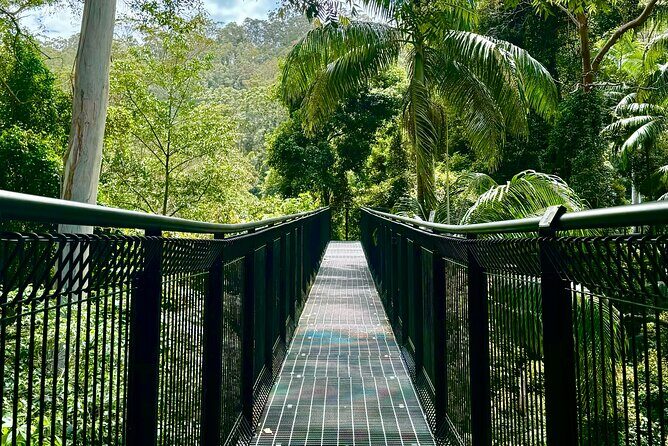 Explore Mt Tamborine from Brisbane - Final Thoughts