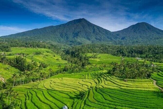 Explore Munduk Customized 8 Hour Day Tour in North Bali - Key Points