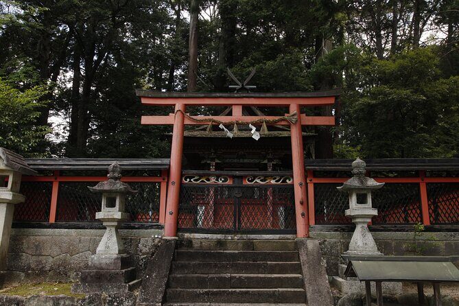 Explore Nature in Yoshino with e-Bike Tour - Key Points