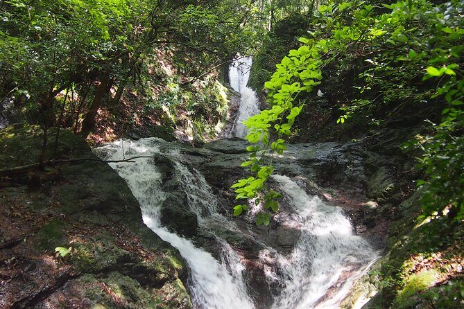 Explore Nature in Yoshino with e-Bike Tour - Why This Tour Offers Great Value