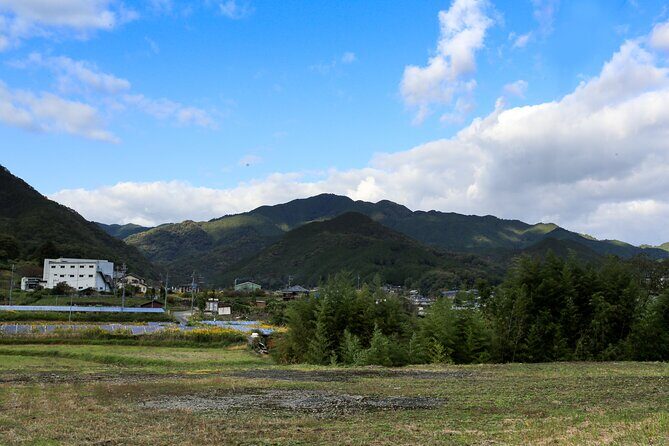 Explore Nature in Yoshino with e-Bike Tour - FAQ