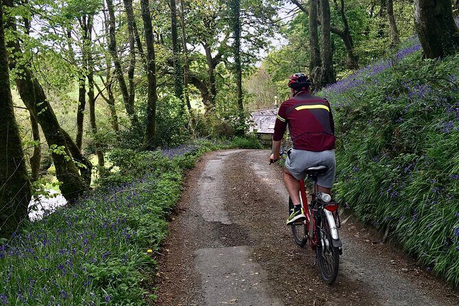 Explore North Cornwall on Electric Bikes - A Scenic Ride Through North Cornwall’s Hidden Corners