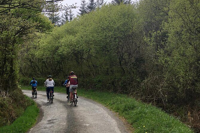 Explore North Cornwall on Electric Bikes - The Sum Up