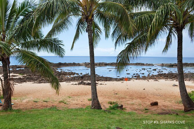 Explore North Shore Oahu by E-Bike & Snorkel (Self-Guided + Map) - Key Points